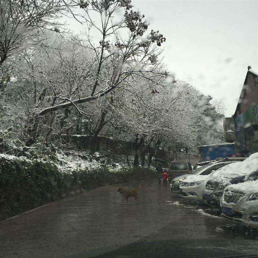 濾油機(jī)濾芯_重慶下雪啦