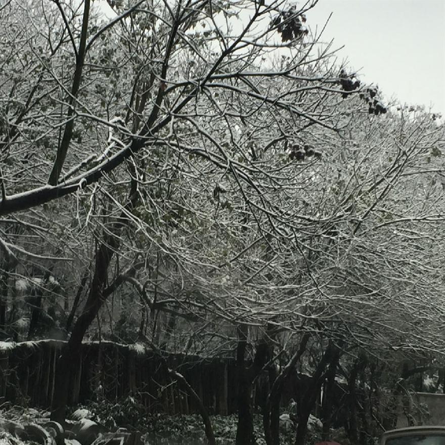 濾油機(jī)_重慶的雪美極啦